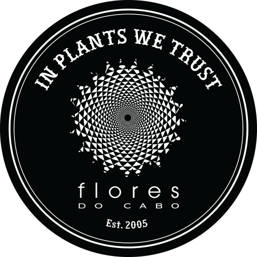 Flores do Cabo logo